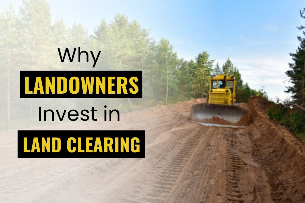 Why Landowners in East Texas Are Investing in Professional Land Clearing