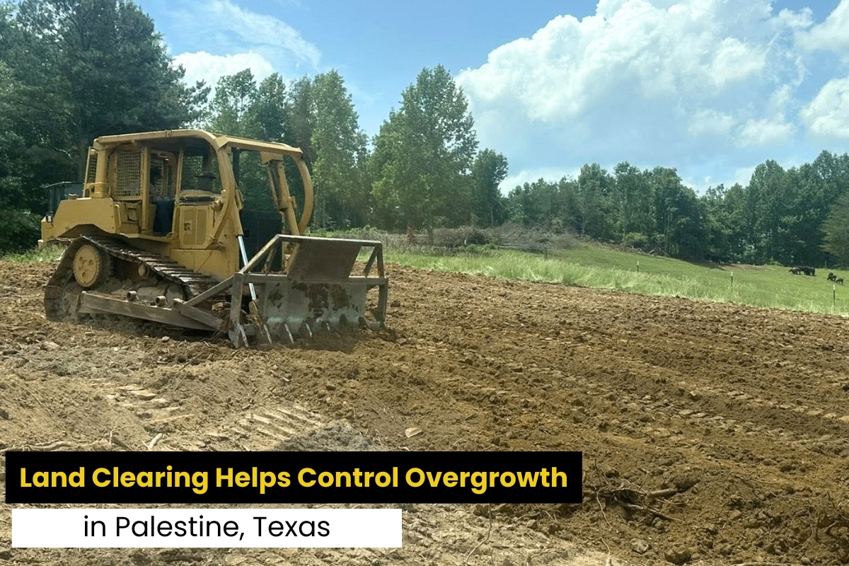 How Land Clearing Controls Overgrowth in Palestine, TX